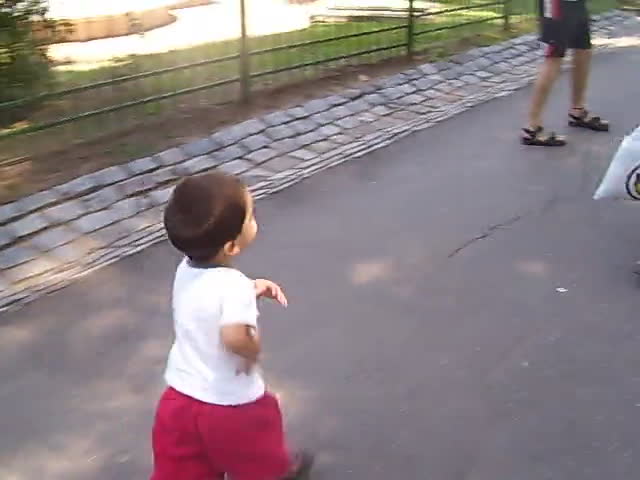 Video 2